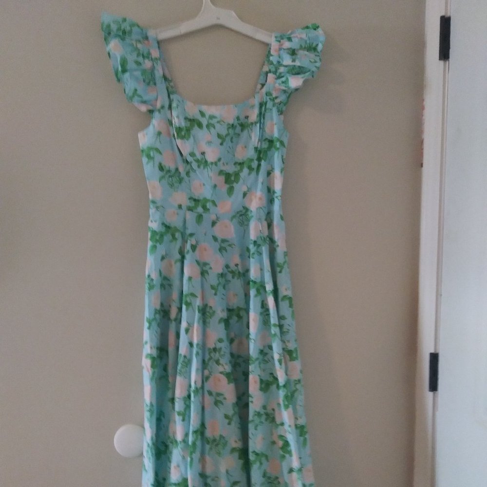 Hill House Home blue roses Daphne dress size small